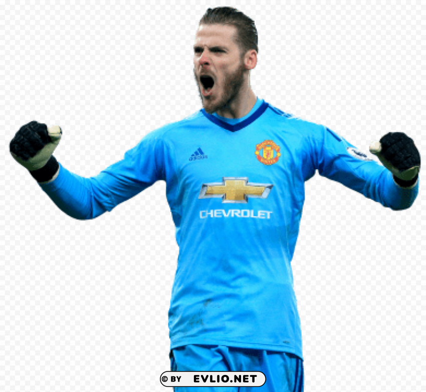 david de gea PNG images with clear backgrounds