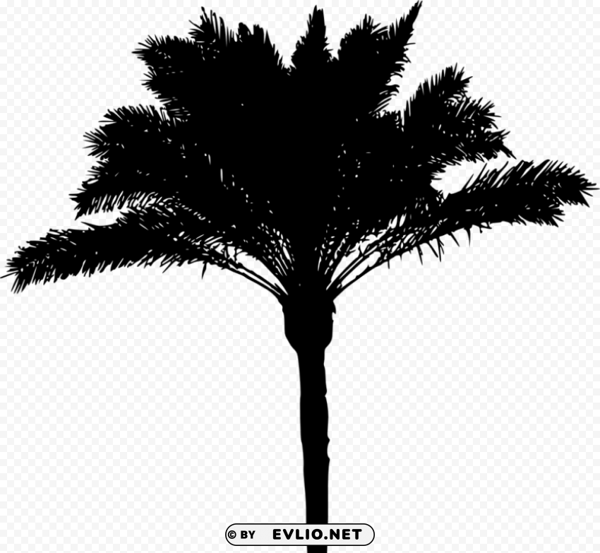 Palm Tree Silhouette Clean Background Isolated PNG Icon