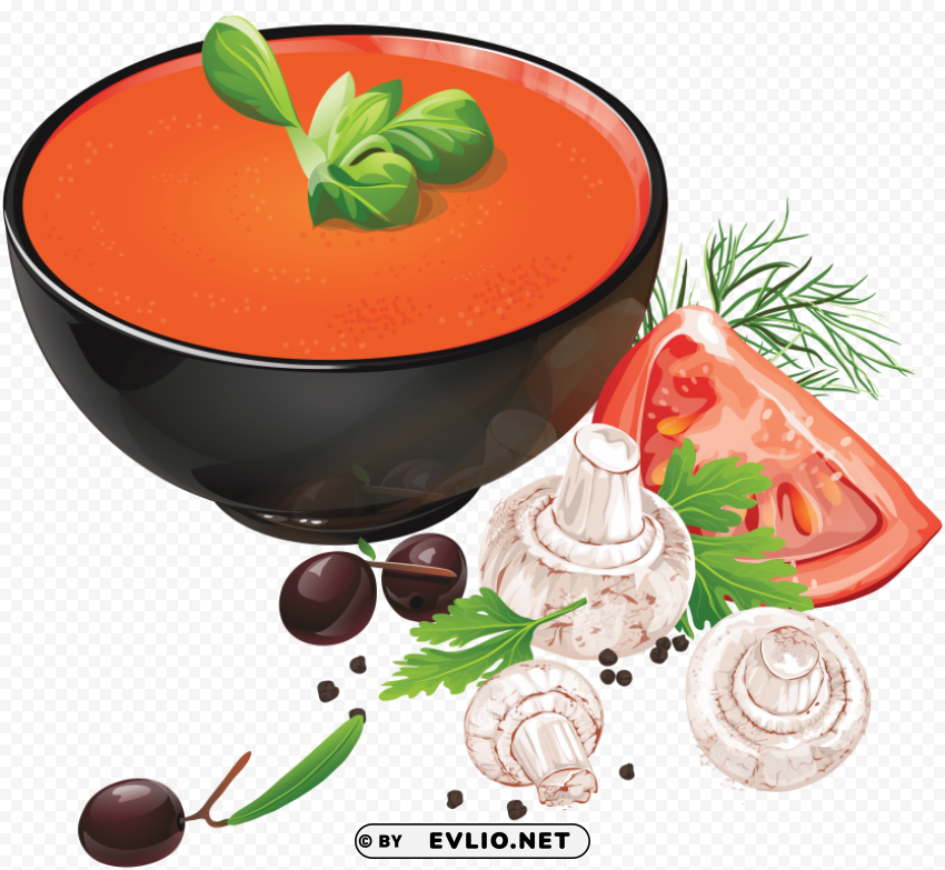 soup Isolated Element in HighResolution Transparent PNG