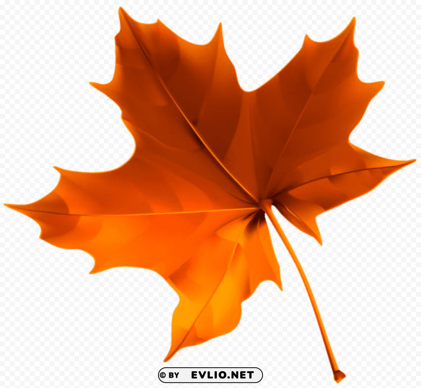 autumn red leaf Isolated Object with Transparent Background in PNG