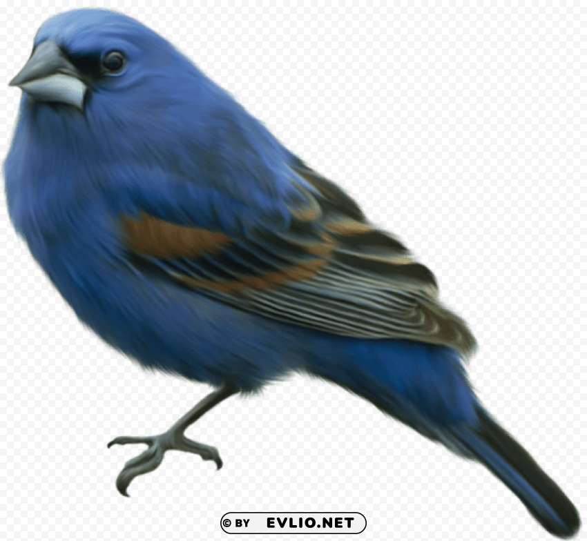 blue bird clip-art Free PNG images with alpha channel compilation png images background - Image ID be6346ba