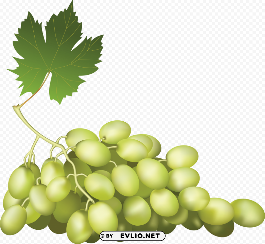 grapes PNG with isolated background