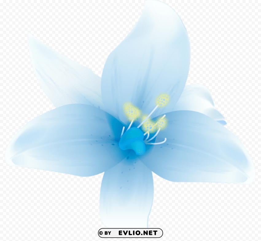 large white lilium Isolated Character on HighResolution PNG
