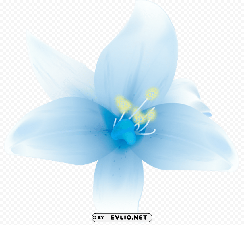 Large White Lilium Isolated Character On HighResolution PNG