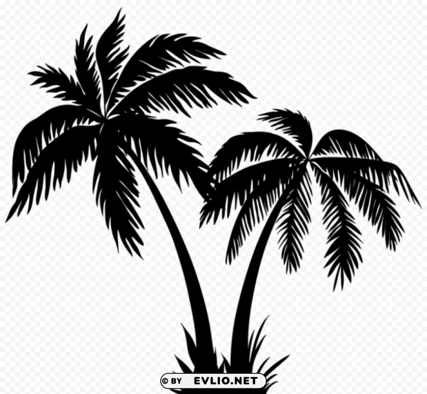 palms silhouette PNG images transparent pack