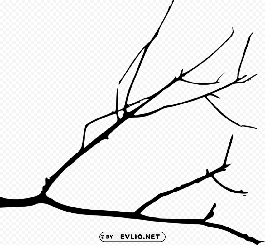 simple tree branch Isolated Graphic on HighQuality PNG