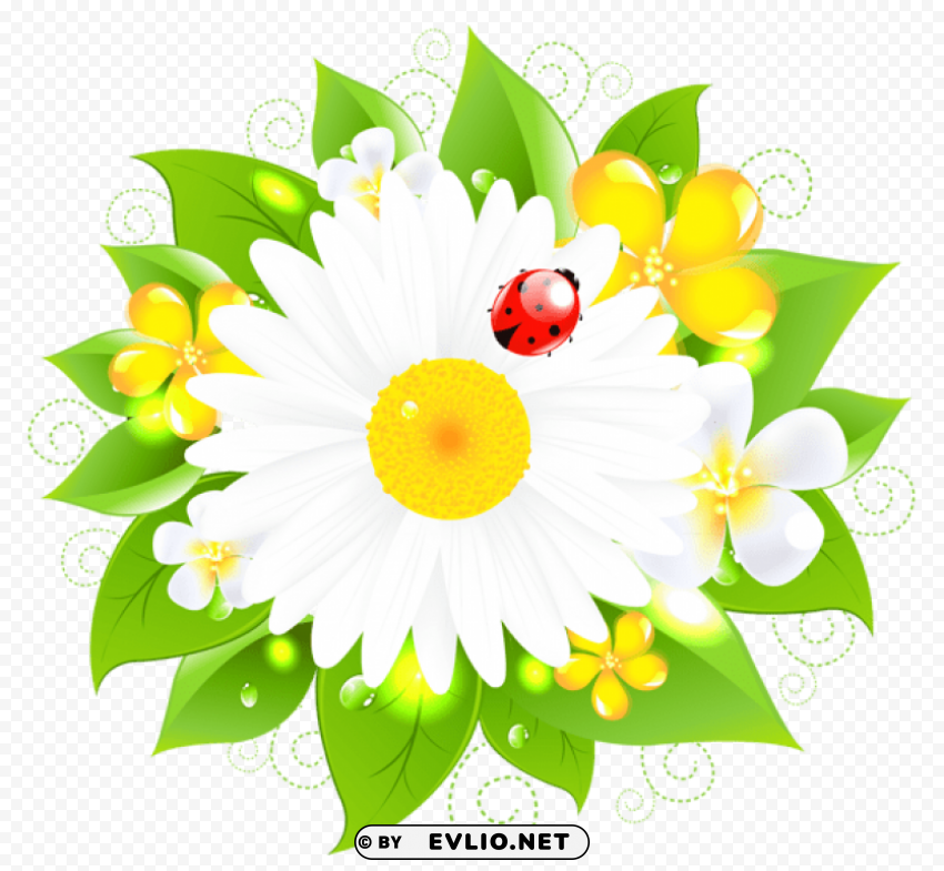 daisy decor Transparent PNG download