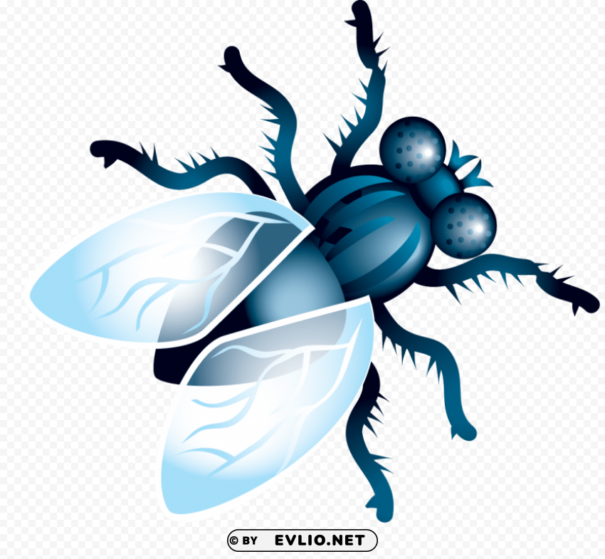 fly Free download PNG images with alpha channel