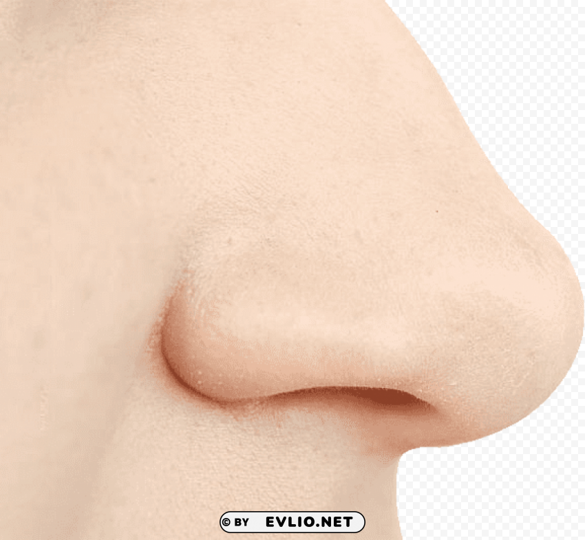 human nose PNG files with no background bundle