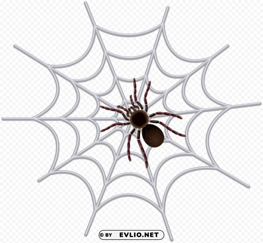 spider web transparent PNG with no background for free png images background -  image ID is f7ad6315