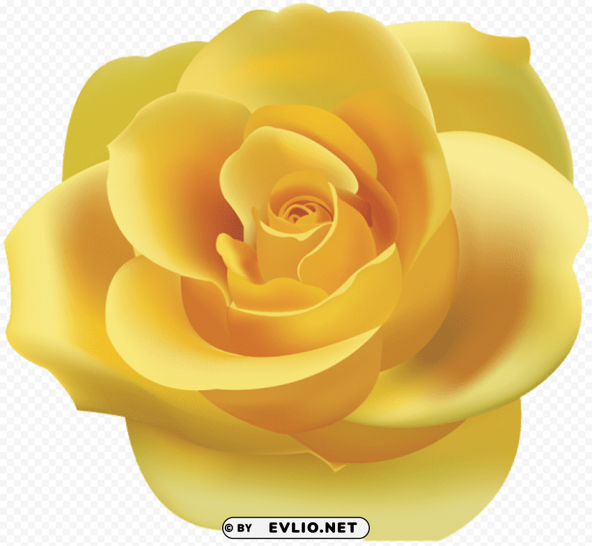 PNG image of yellow rose PNG transparency images with a clear background - Image ID 1847f6c3