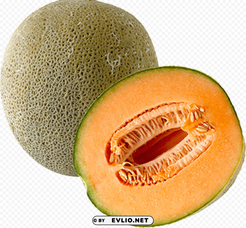 melon PNG transparent images for websites