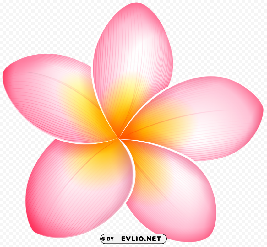 pink exotic flower PNG images with no background free download