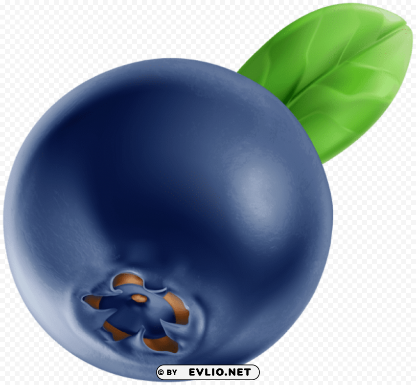 blueberry High-resolution transparent PNG files