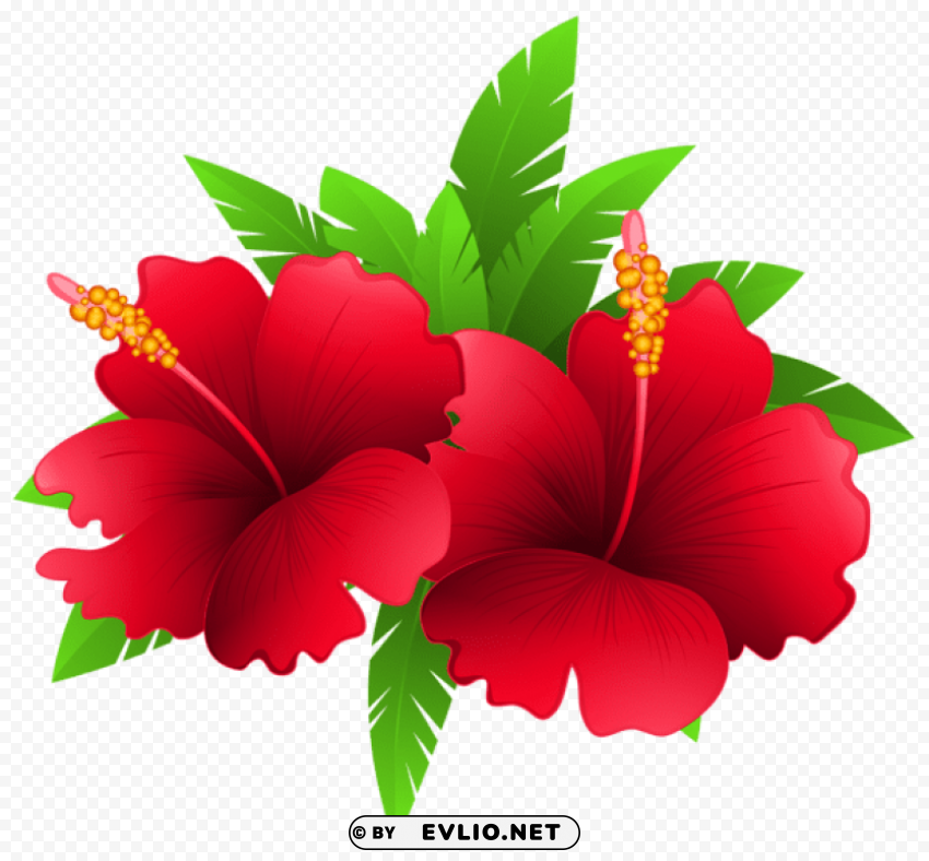 exotic flowers and plant PNG images with alpha transparency selection