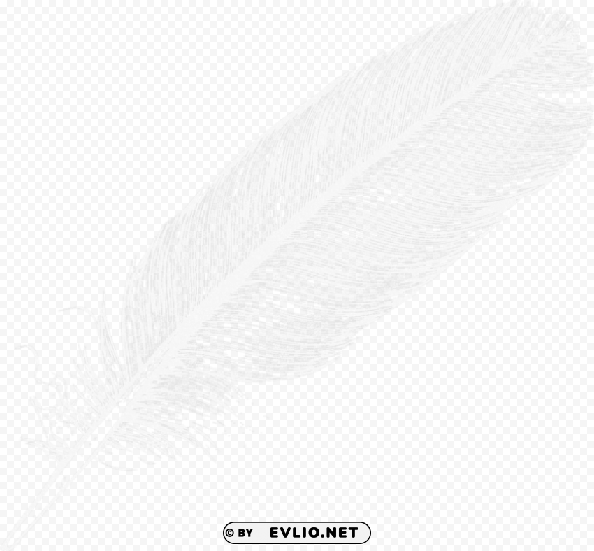 large white transparent feather PNG images with alpha channel selection
