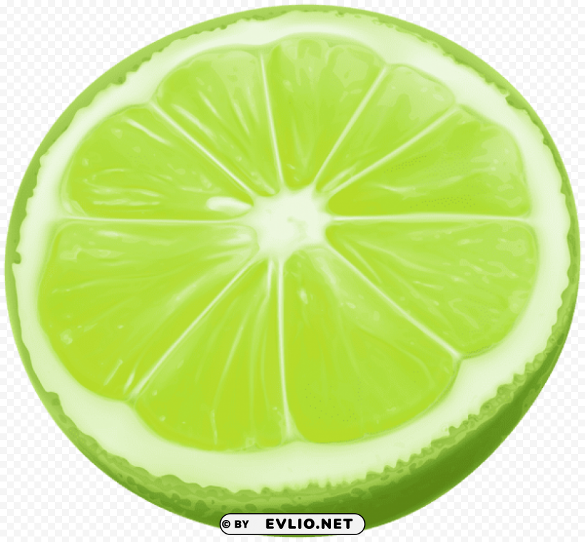 lime slices PNG files with transparent elements wide collection