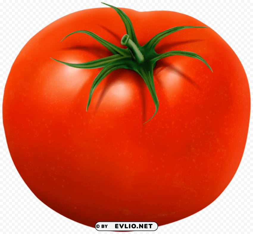 tomato Transparent PNG images complete library