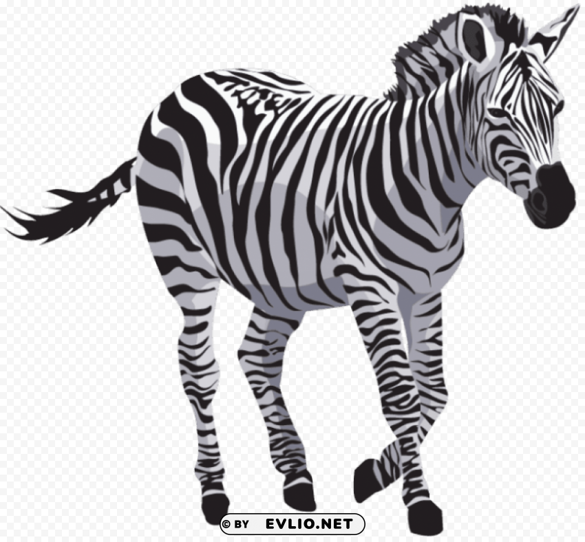 zebra free s HighResolution PNG Isolated on Transparent Background