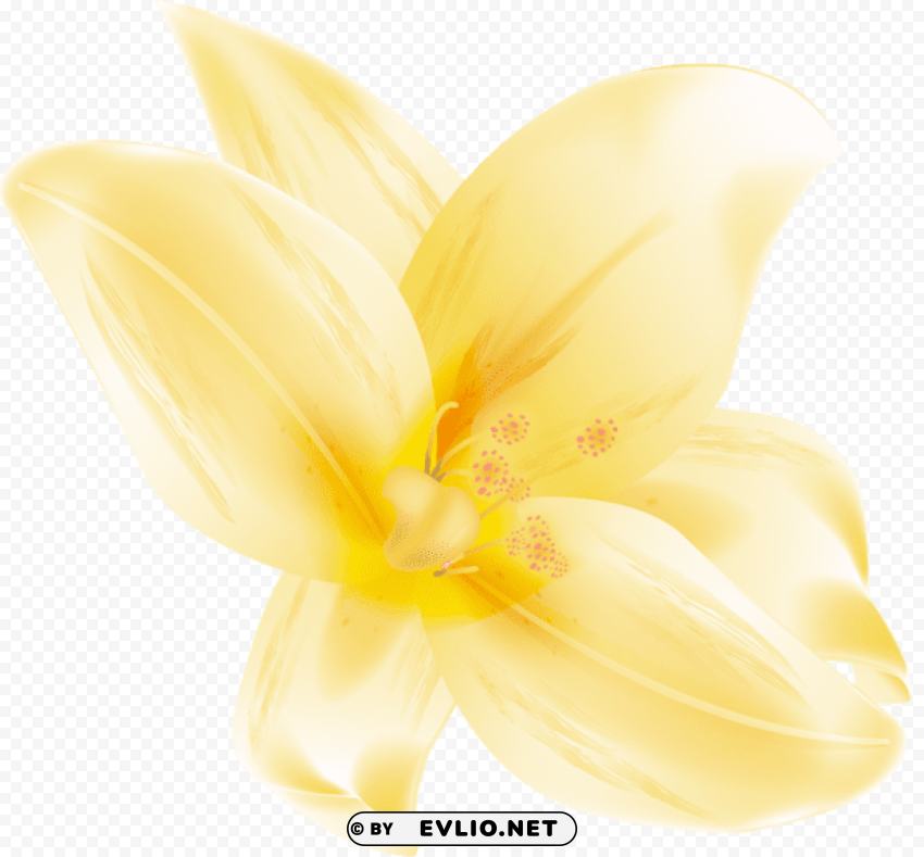 large yellow lilium Isolated Character in Clear Background PNG