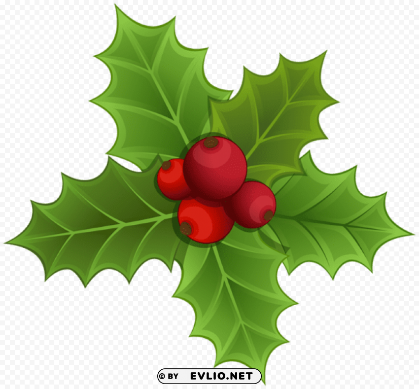 mistletoe Free PNG images with alpha transparency compilation