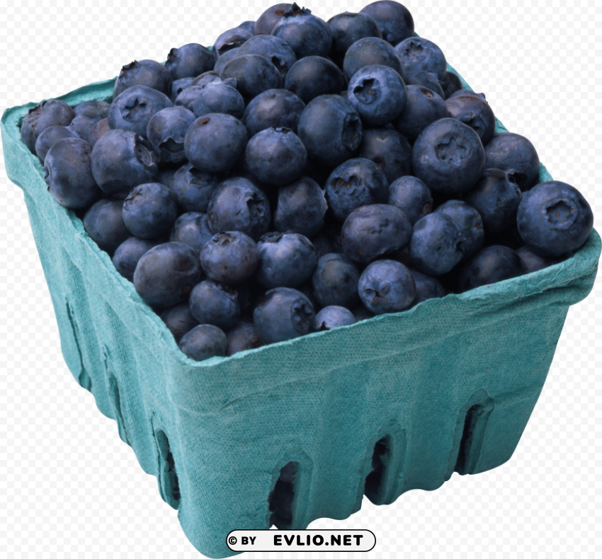 blueberries Clear PNG pictures compilation