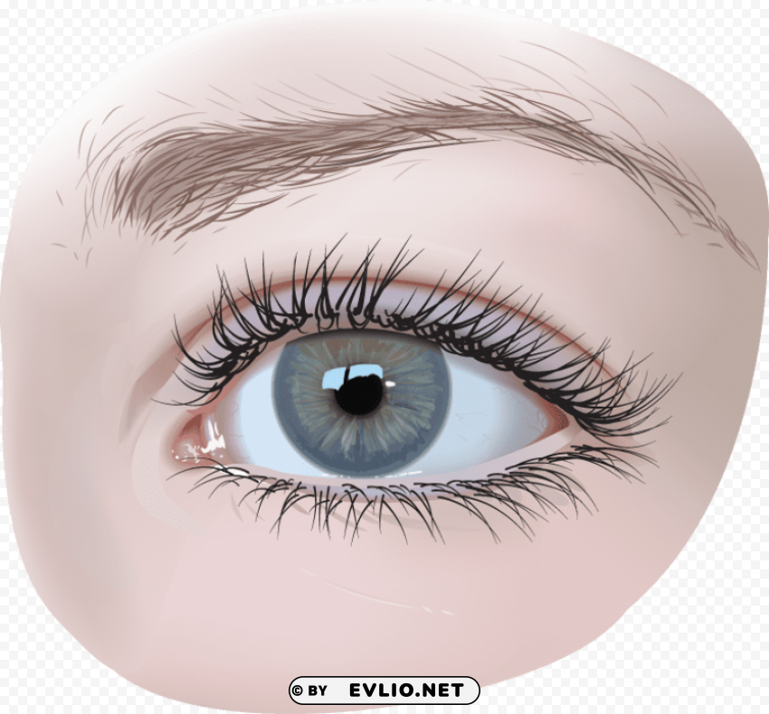 eye Transparent Background Isolated PNG Art