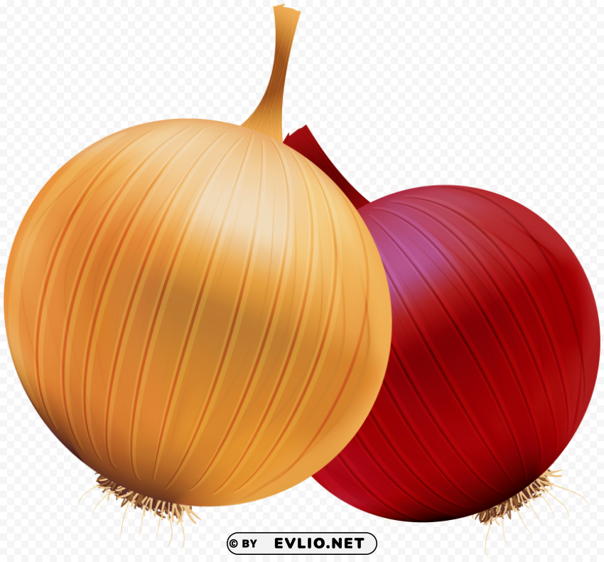 onion and red onion Isolated Subject with Transparent PNG