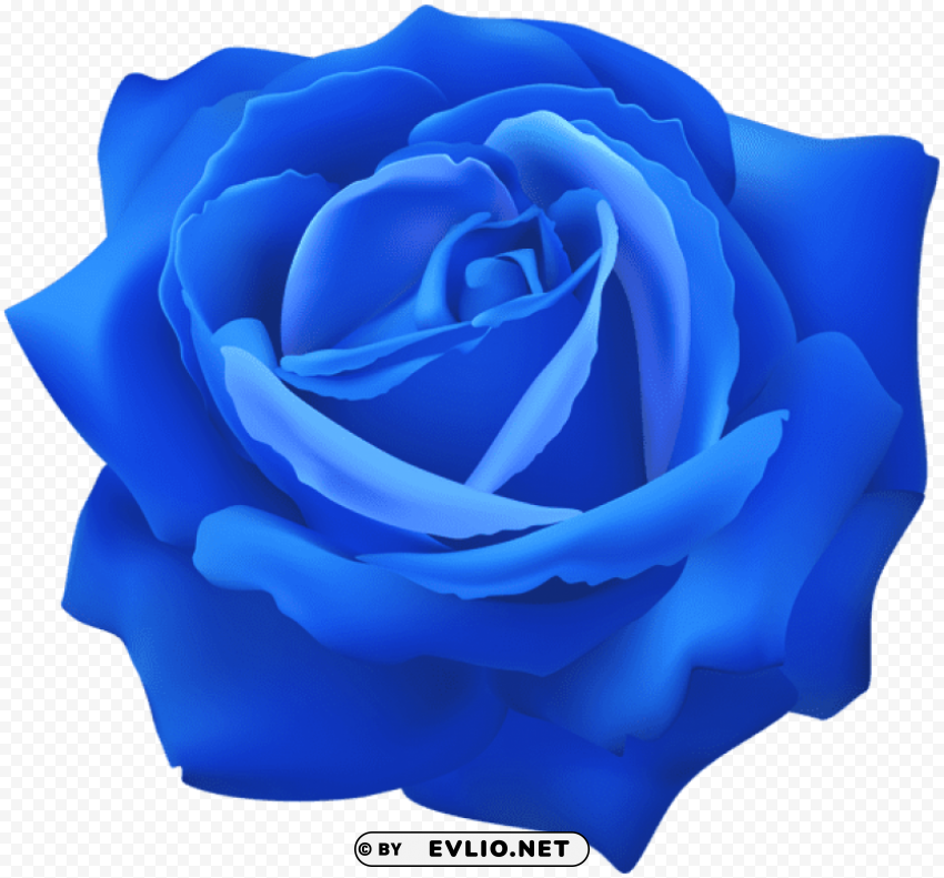 blue_rose_flower_clip_art_ Transparent PNG Isolated Design Element