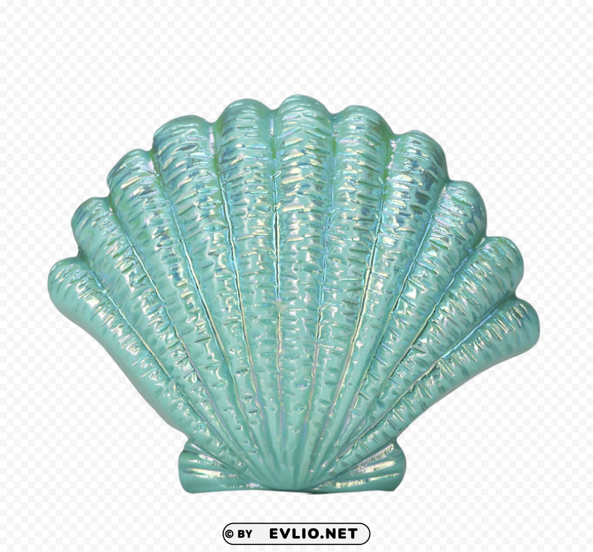 blue seashell Isolated Character on Transparent Background PNG