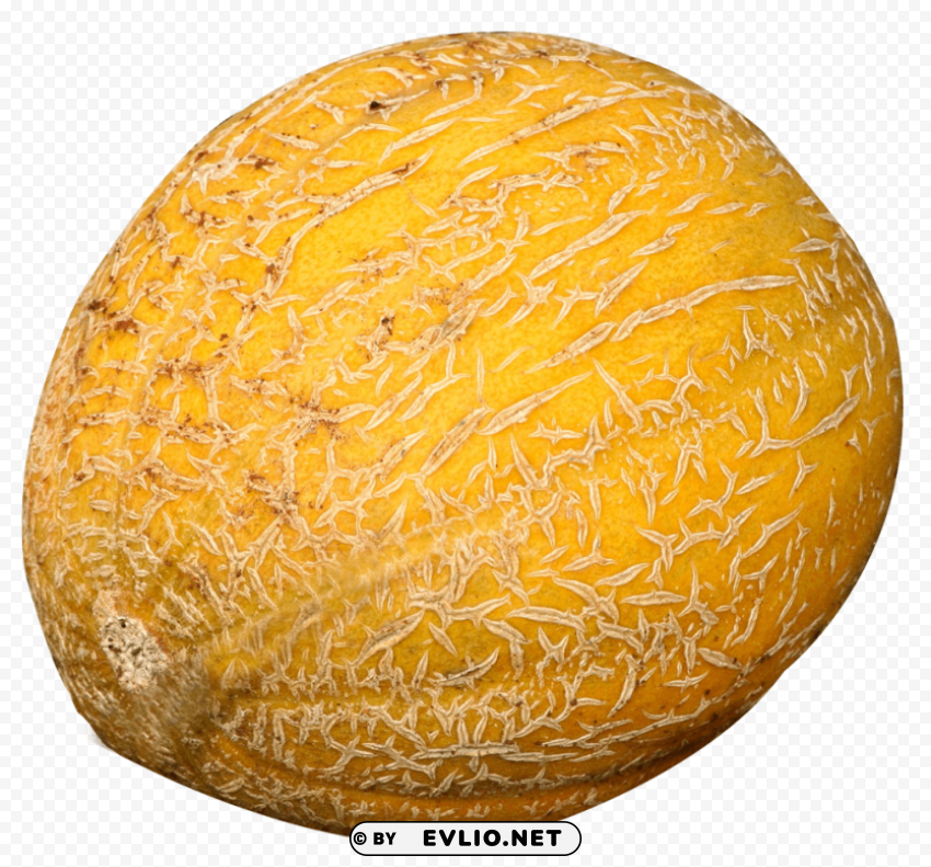 Cantaloupe Melon Isolated Graphic with Clear Background PNG