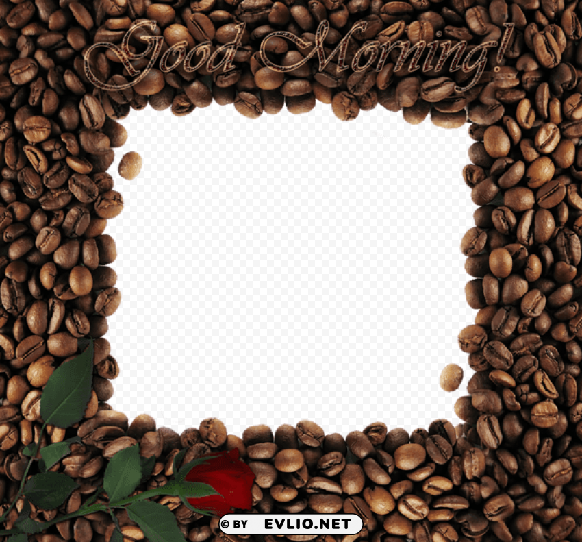 good morning with rose coffee frame PNG images with no background comprehensive set