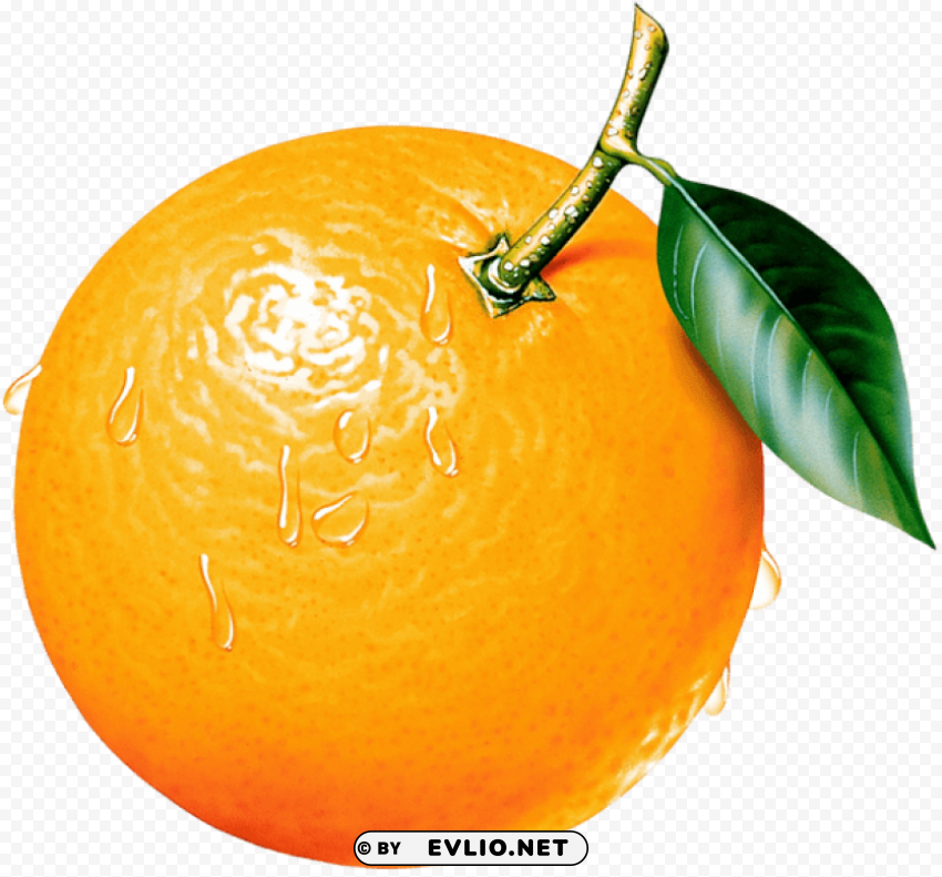 orangepicture PNG images with transparent space