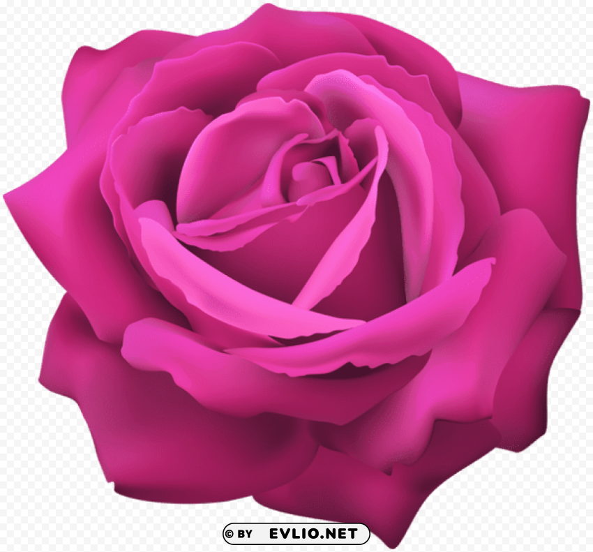 PNG image of pink rose flower Transparent PNG images free download with a clear background - Image ID 86c4621a