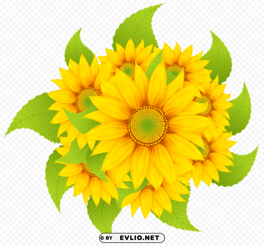 sunflowers decoration Clear pics PNG