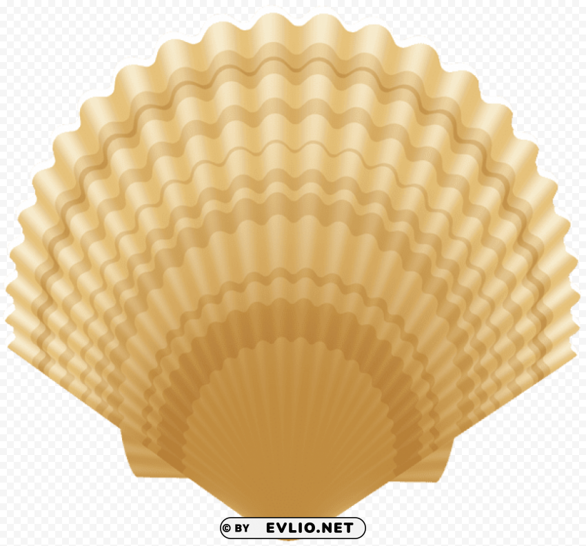 clam shell PNG transparent graphics comprehensive assortment