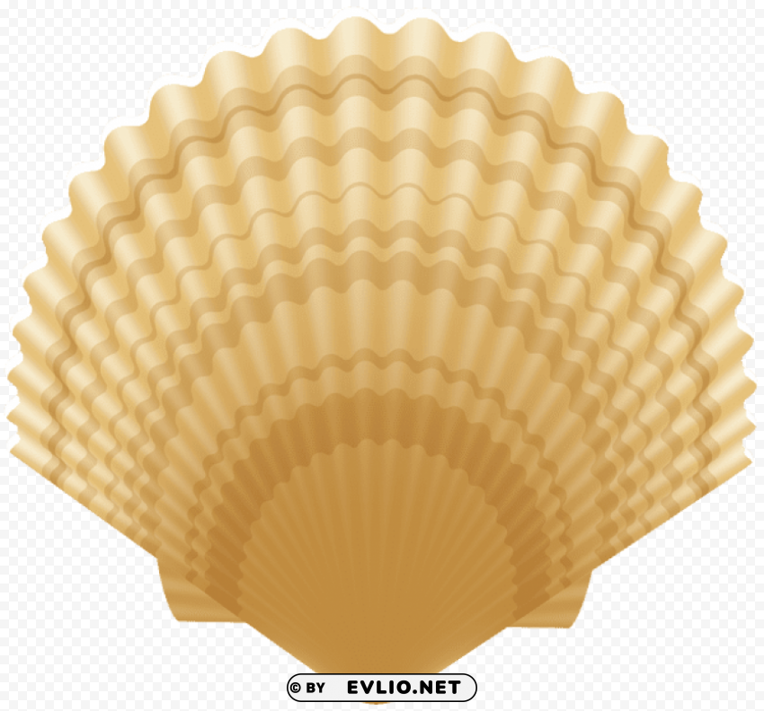 Clam Shell PNG Transparent Graphics Comprehensive Assortment