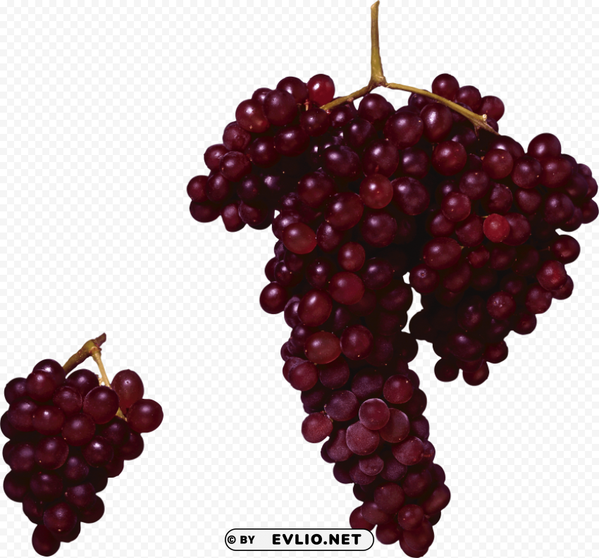 grapes Clean Background Isolated PNG Art