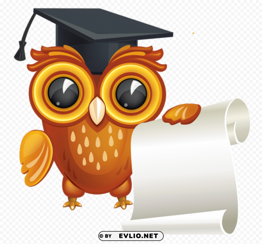 owl with diploma High-resolution PNG images with transparency wide set