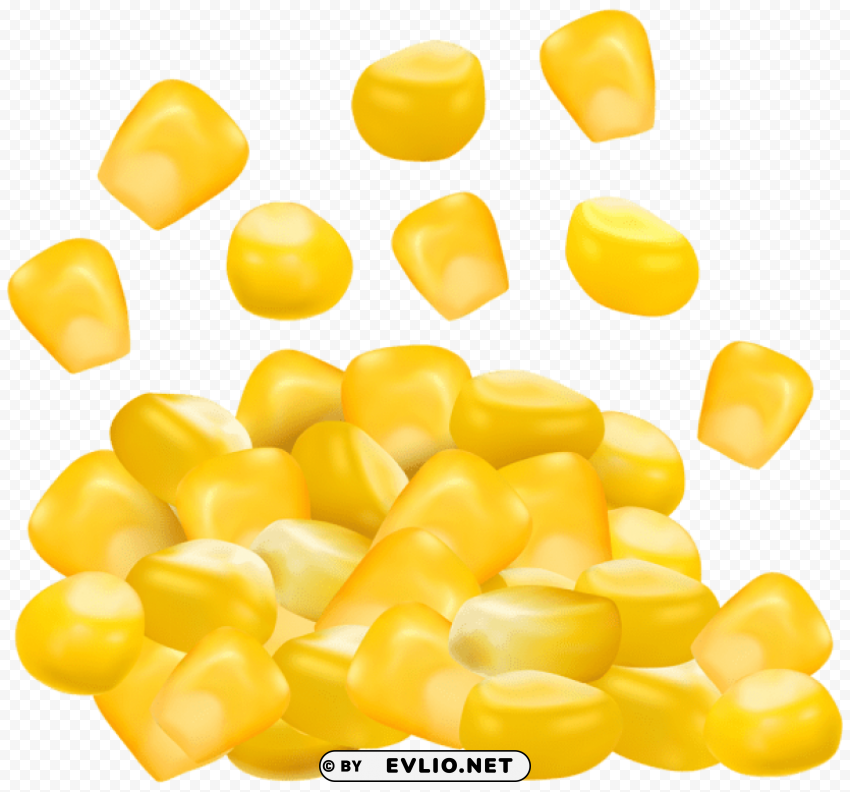 Sweet Corn Grains Clear PNG Graphics Free