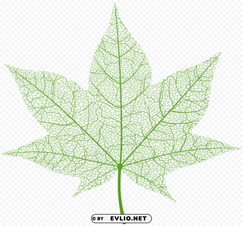 transparent green autumn leaf PNG images with alpha transparency bulk