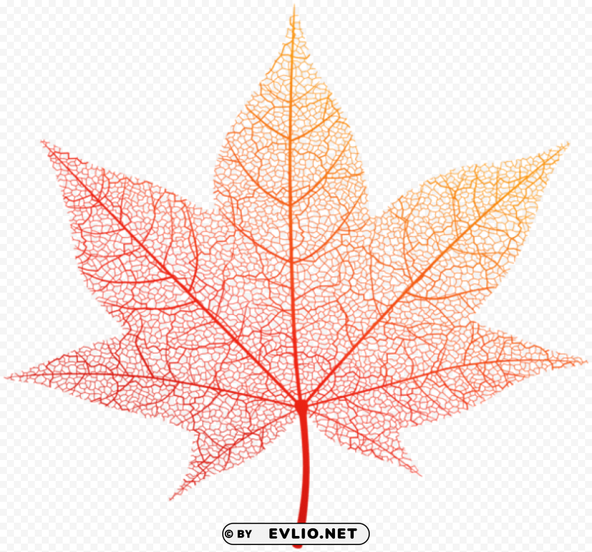 transparent orange autumn leaf PNG images with alpha transparency free