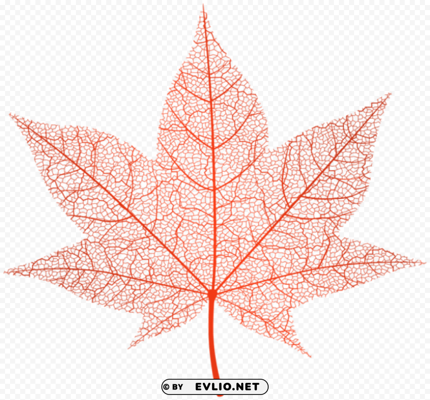transparent red autumn leaf PNG images with alpha channel selection