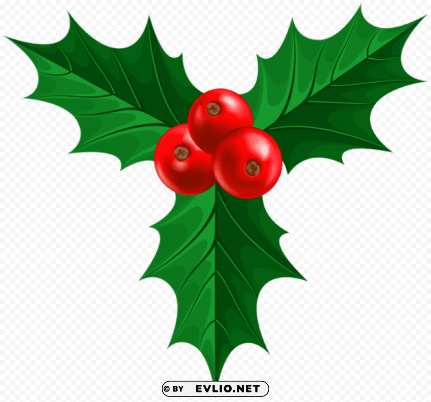 christmas holly Transparent PNG images complete library