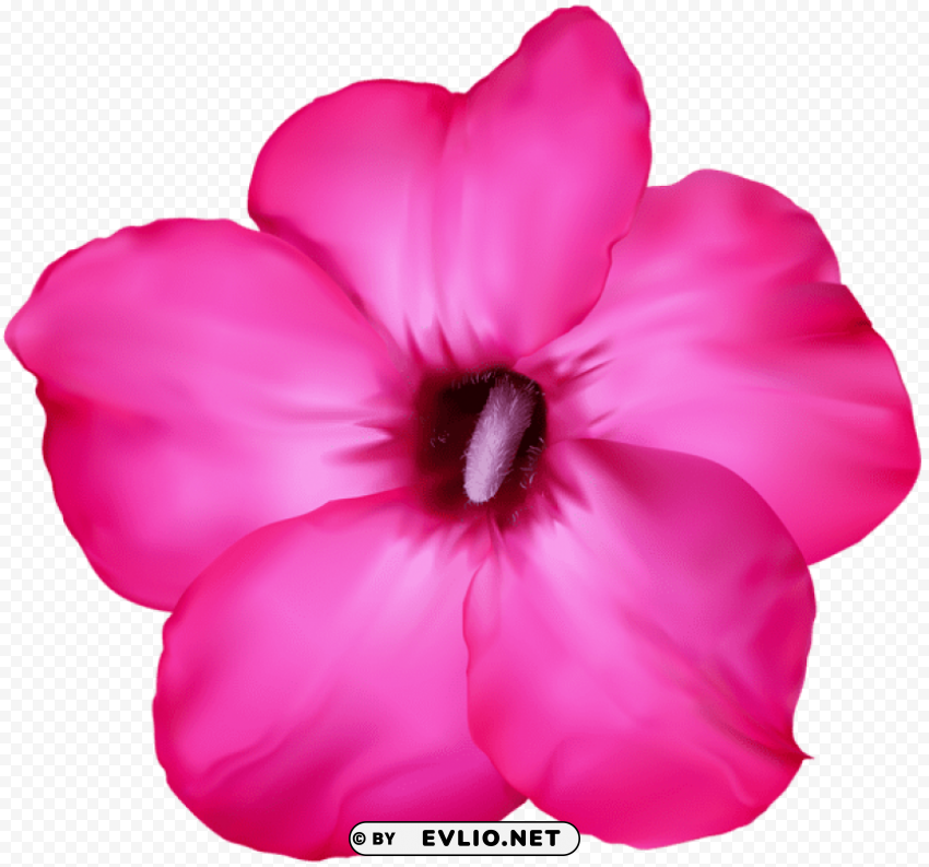 PNG image of flower pink PNG transparency with a clear background - Image ID a6d006b8