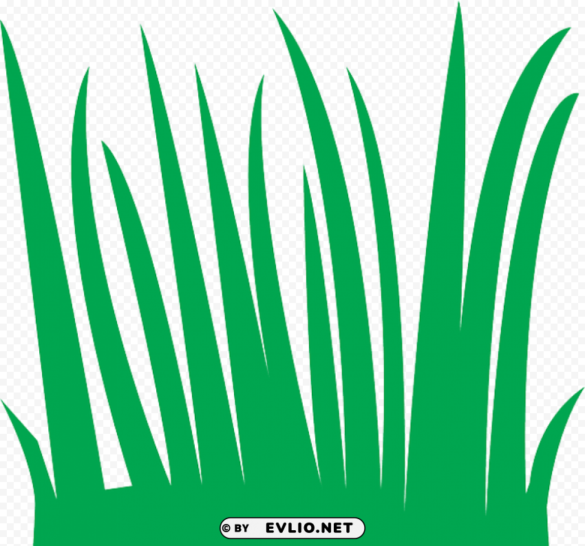 grass blades cartoon Isolated Graphic Element in Transparent PNG PNG transparent with Clear Background ID 8e76196a