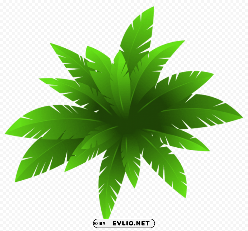 green plant decoration PNG clipart with transparent background