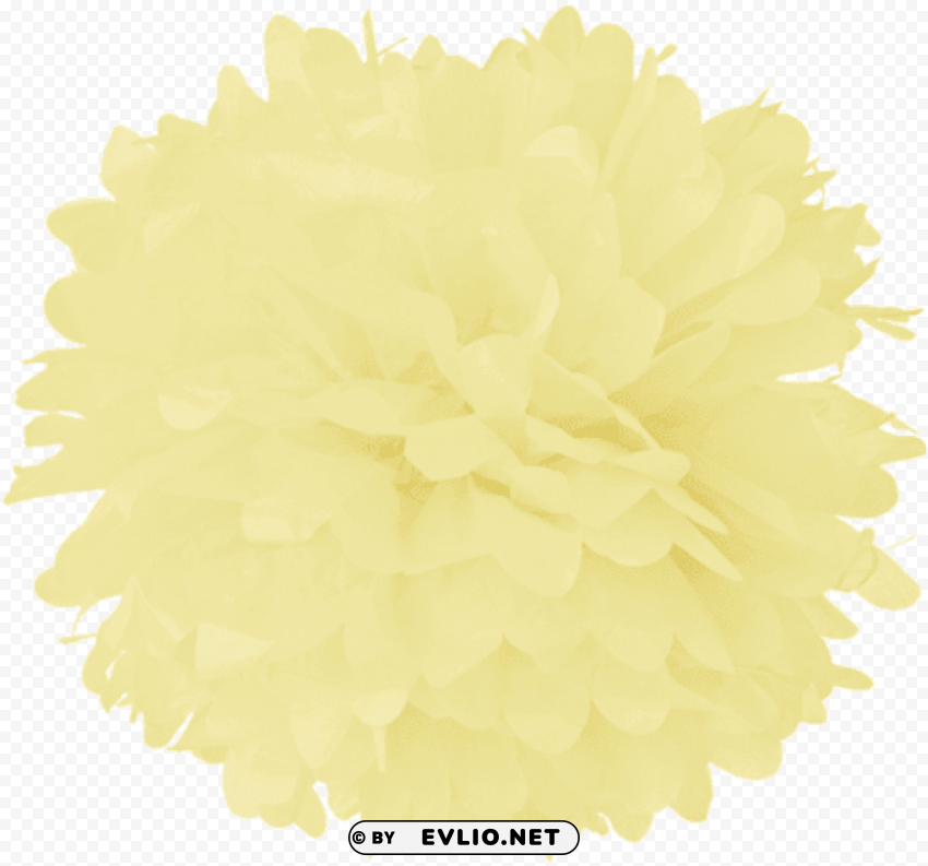 pom PNG for personal use