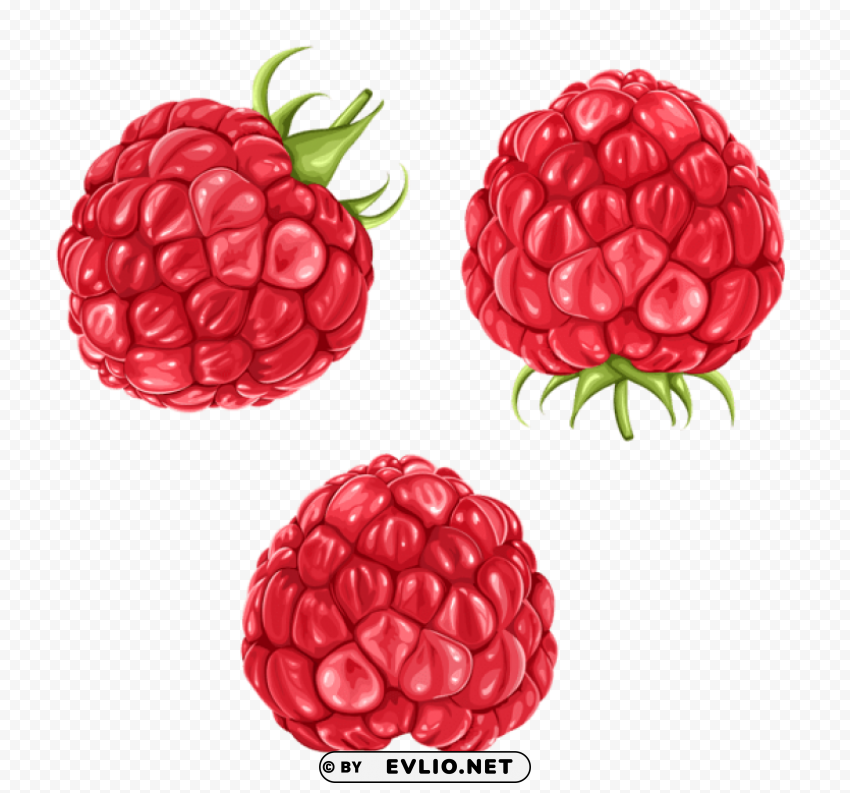 raspberriespicture PNG transparent artwork