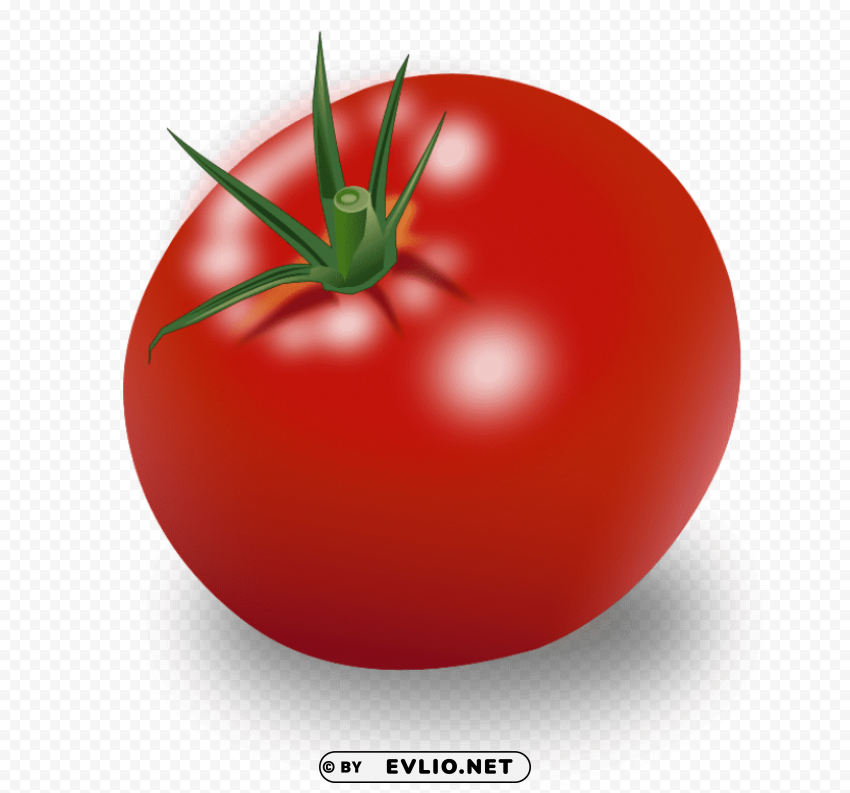 red tomatoes Isolated Icon in HighQuality Transparent PNG clipart png photo - db399d32